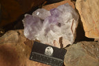 Natural Jacaranda Amethyst Clusters x 2 From Zambia - Toprock Gemstones and Minerals 