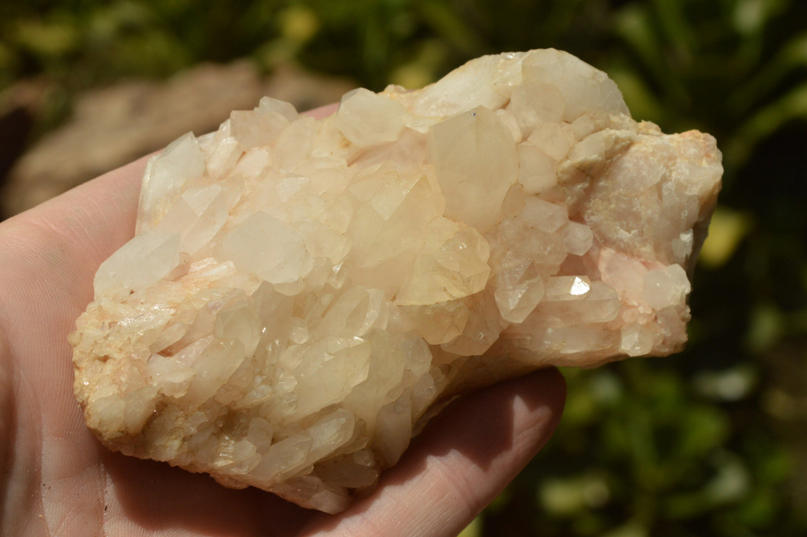 Natural Quartz Clusters With Green Epidote Coating/Inclusions x 12 From Boekenhouthoek, South Africa - TopRock
