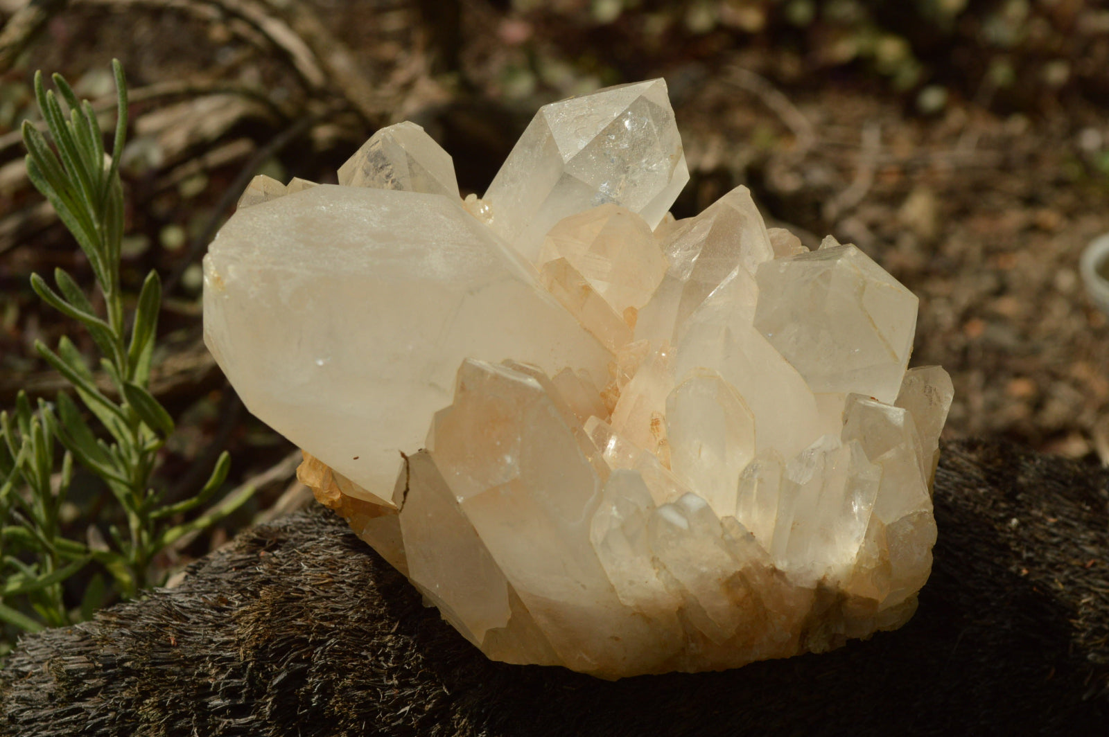Natural Quartz Clusters With Green Epidote Coating/Inclusions x 12 From Boekenhouthoek, South Africa - TopRock