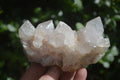 Natural White Spirit Cactus Quartz Specimens  x 6 From Boekenhouthoek, South Africa - Toprock Gemstones and Minerals 