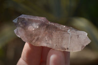 Natural Long Window Amethyst Quartz Crystals  x 12 From Chiredzi, Zimbabwe - Toprock Gemstones and Minerals 