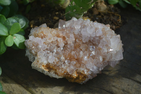 Natural Spirit Amethyst Quartz Clusters  x 3 From Boekenhouthoek, South Africa - Toprock Gemstones and Minerals 