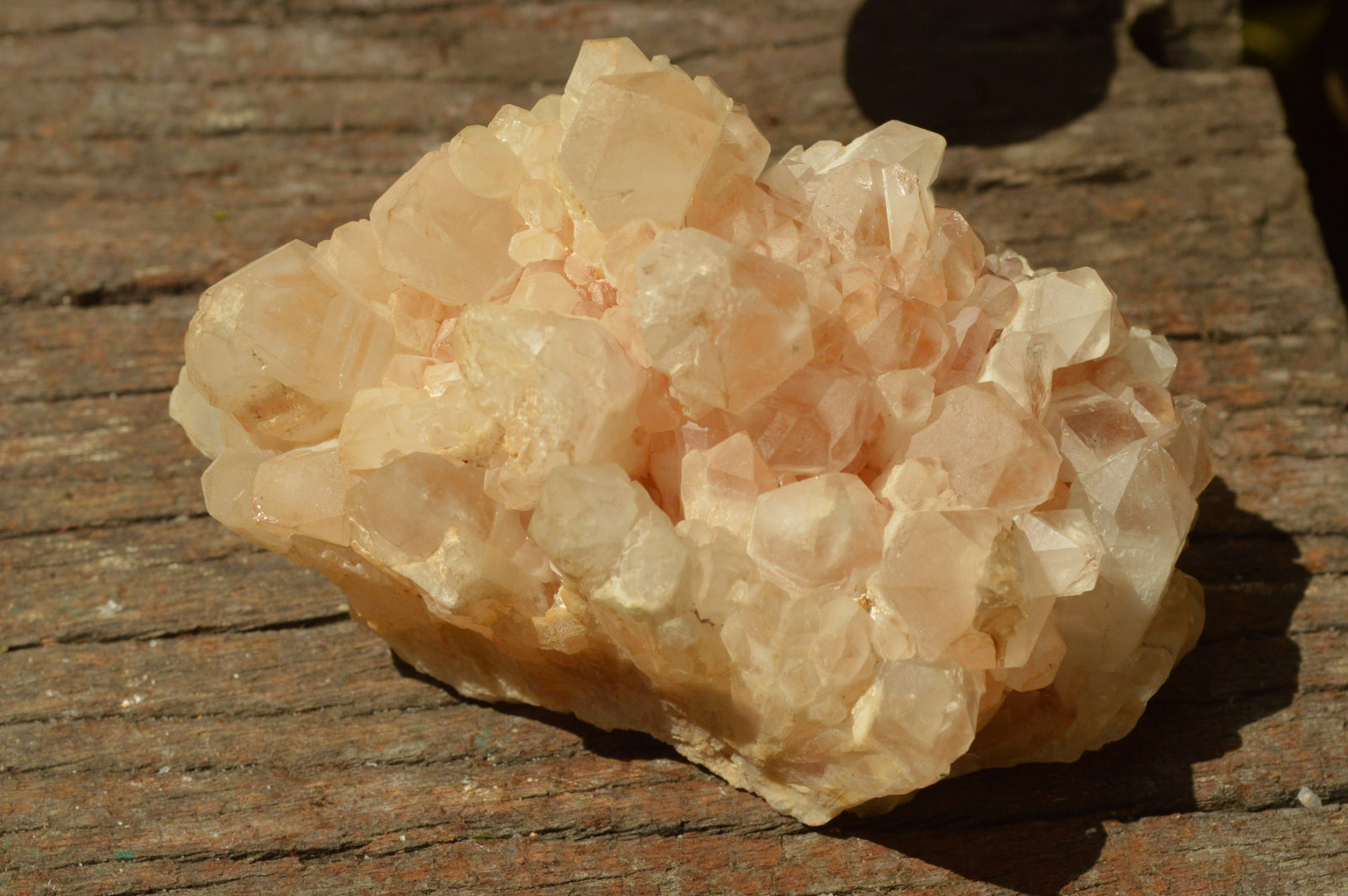 Natural Quartz Clusters With Green Epidote Coating/Inclusions x 12 From Boekenhouthoek, South Africa - TopRock