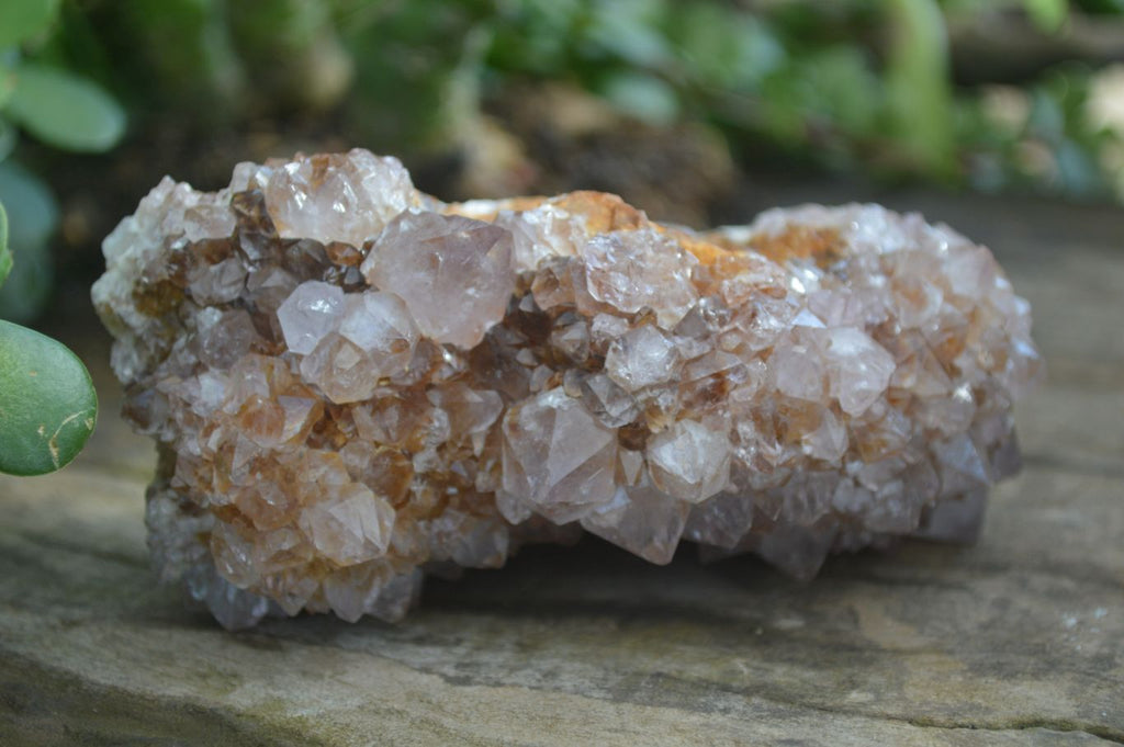 Natural Spirit Amethyst Quartz Clusters  x 3 From Boekenhouthoek, South Africa - Toprock Gemstones and Minerals 