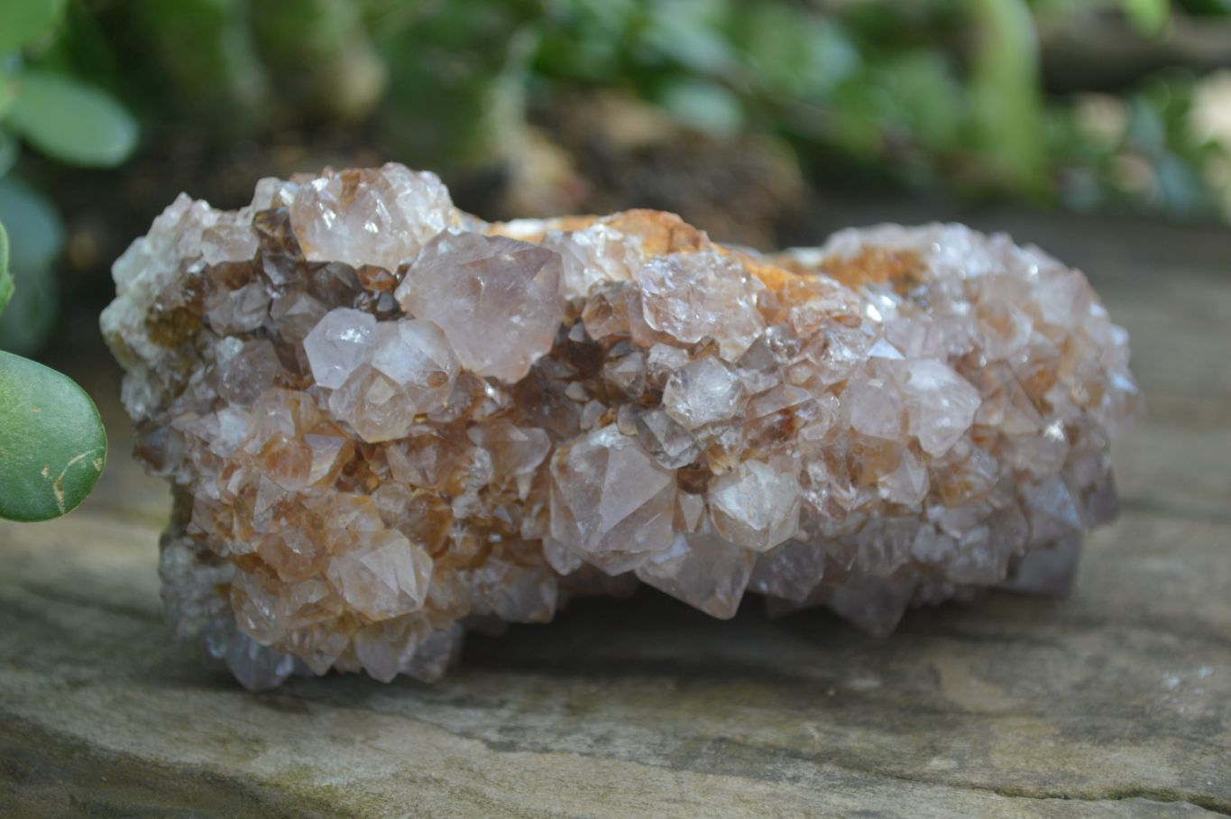 Natural Spirit Amethyst Quartz Clusters  x 3 From Boekenhouthoek, South Africa - Toprock Gemstones and Minerals 