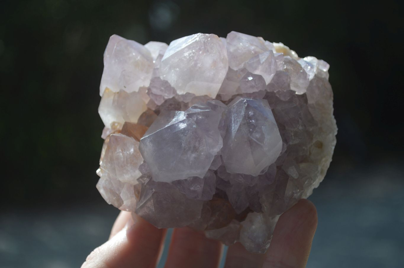 Natural Spirit Amethyst Quartz Clusters  x 3 From Boekenhouthoek, South Africa - Toprock Gemstones and Minerals 