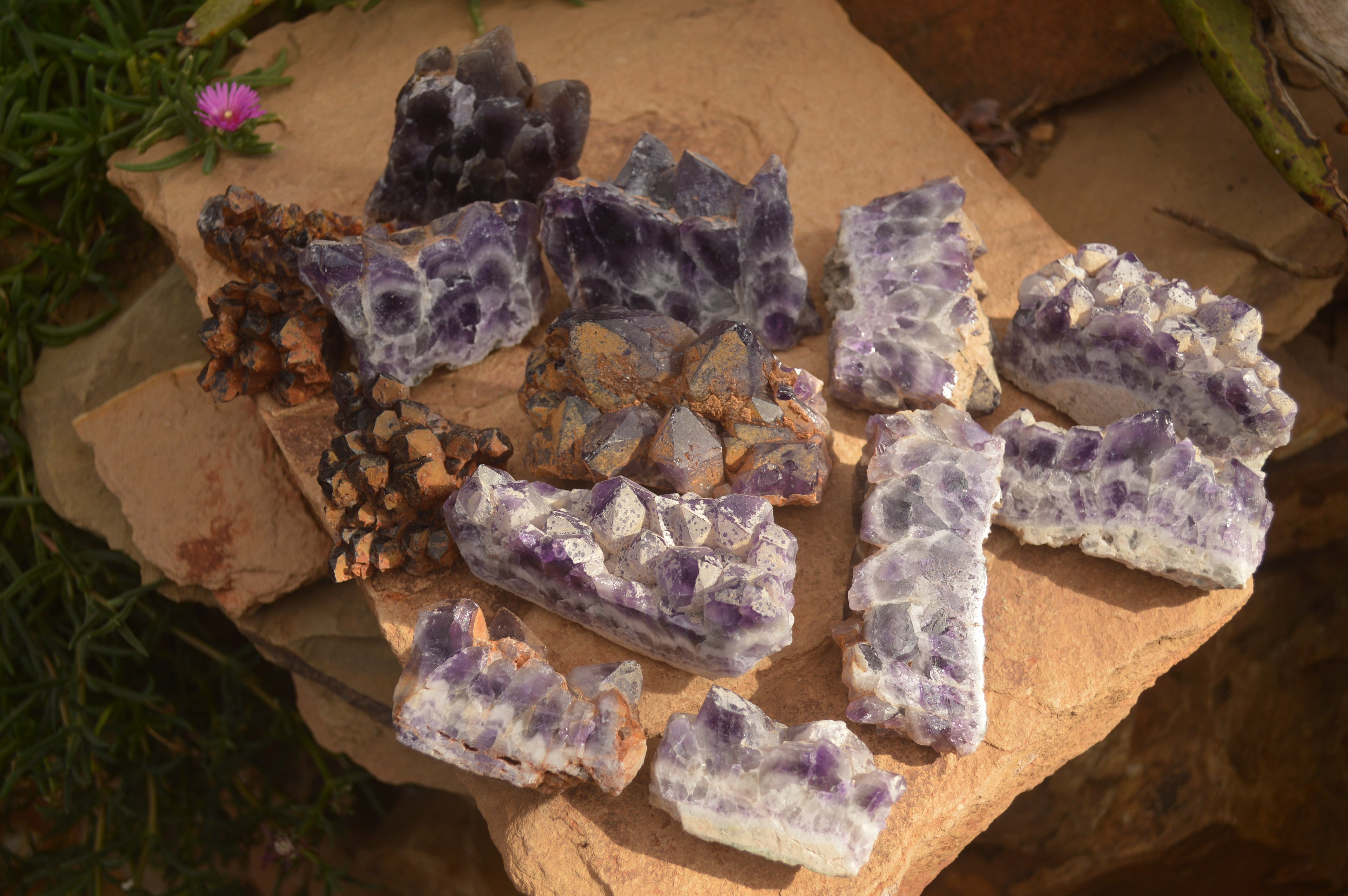Polished Sliced Amethyst Crystal Plates x 15 From Zambia - Toprock Gemstones and Minerals 