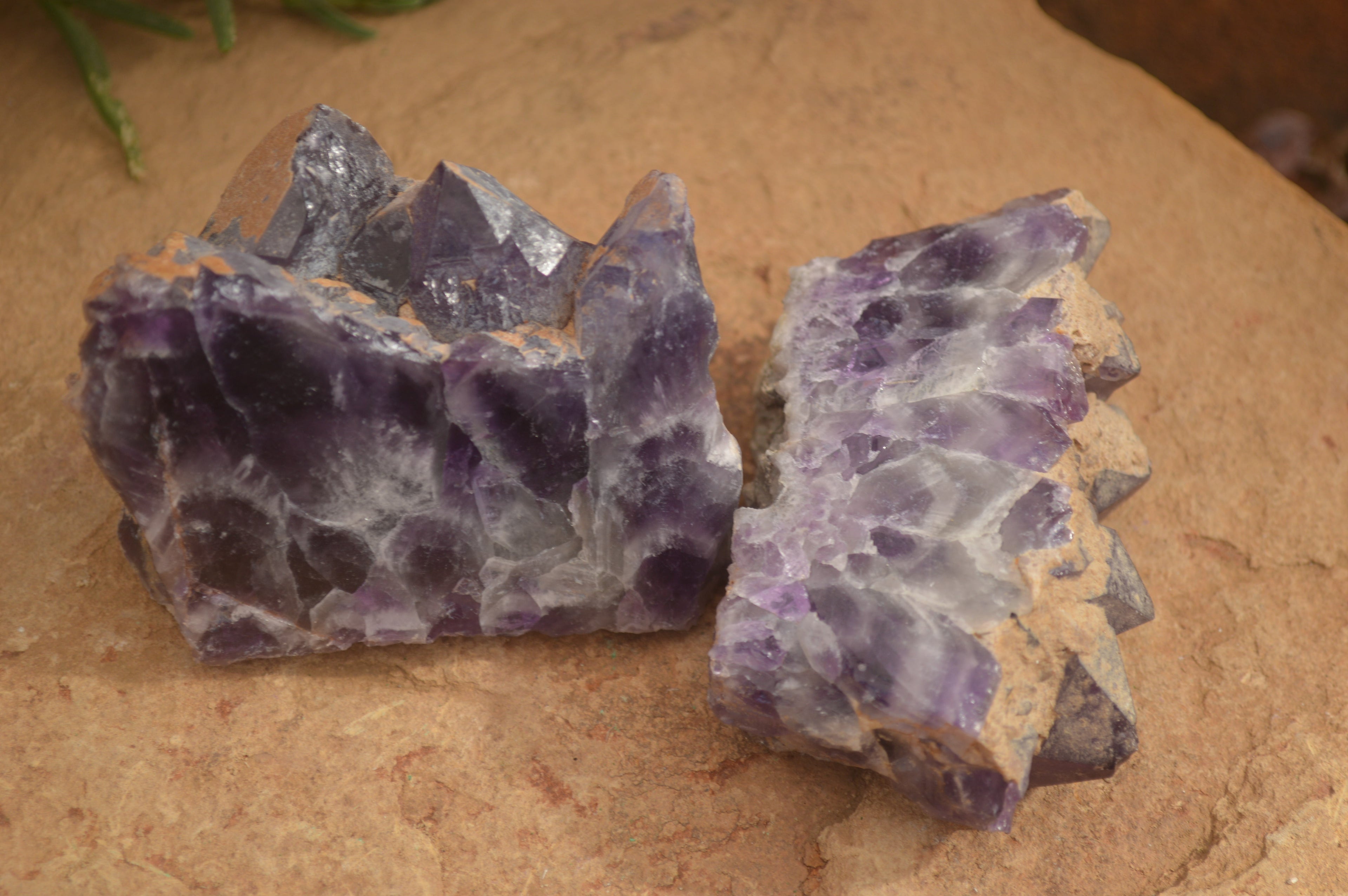 Polished Sliced Amethyst Crystal Plates x 15 From Zambia - Toprock Gemstones and Minerals 