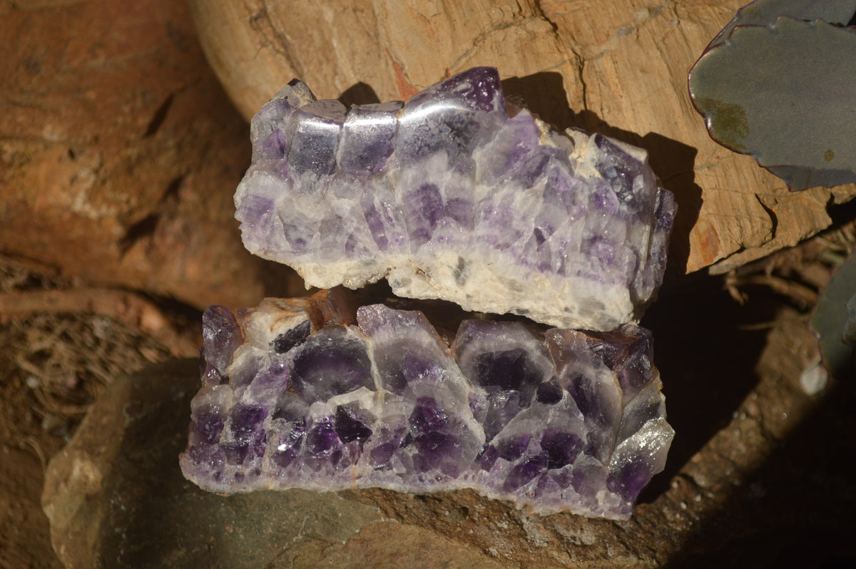 Polished Sliced Amethyst Crystal Plates x 15 From Zambia - Toprock Gemstones and Minerals 