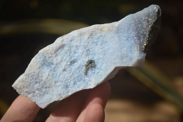 Natural Etched Blue Chalcedony Specimens  x 6 From Nsanje, Malawi - Toprock Gemstones and Minerals 
