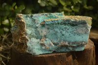 Natural Large Drusy Coated Chrysocolla With Malachite Dolomite Specimens  x 2 From Likasi, Congo - Toprock Gemstones and Minerals 