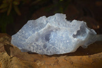 Natural Etched Blue Chalcedony Specimens  x 6 From Nsanje, Malawi - Toprock Gemstones and Minerals 