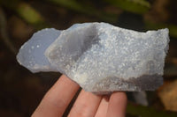Natural Etched Blue Chalcedony Specimens  x 6 From Nsanje, Malawi - Toprock Gemstones and Minerals 