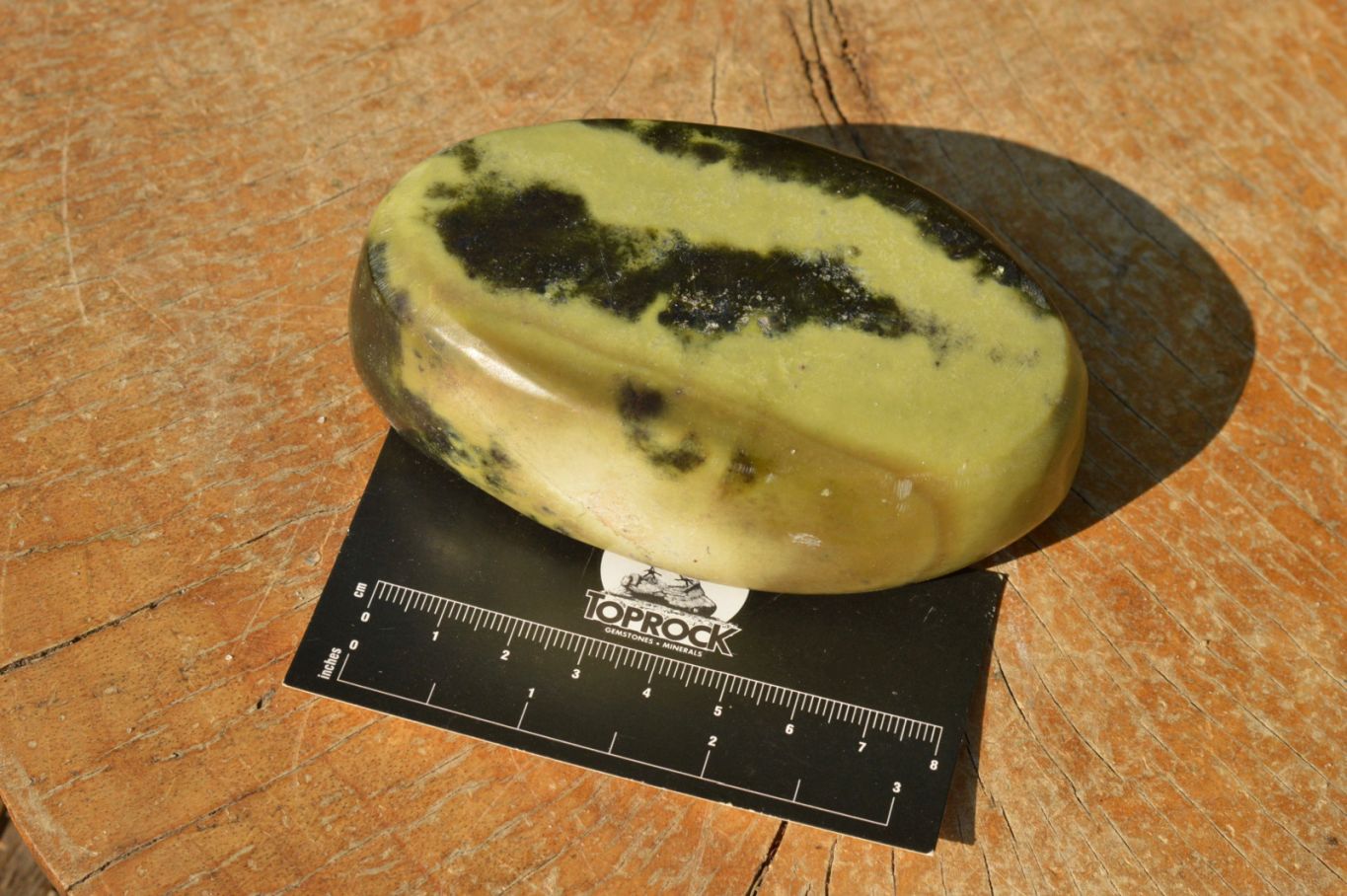 Polished Gorgeous Leopard Stone Free Forms  x 5 From Zimbabwe - TopRock