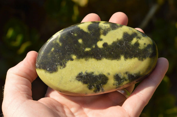 Polished Gorgeous Leopard Stone Free Forms  x 5 From Zimbabwe - TopRock