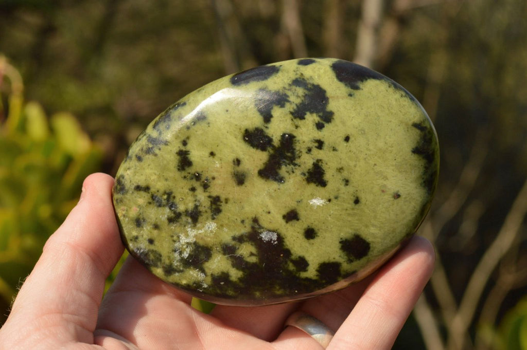 Polished Gorgeous Leopard Stone Free Forms  x 5 From Zimbabwe - TopRock