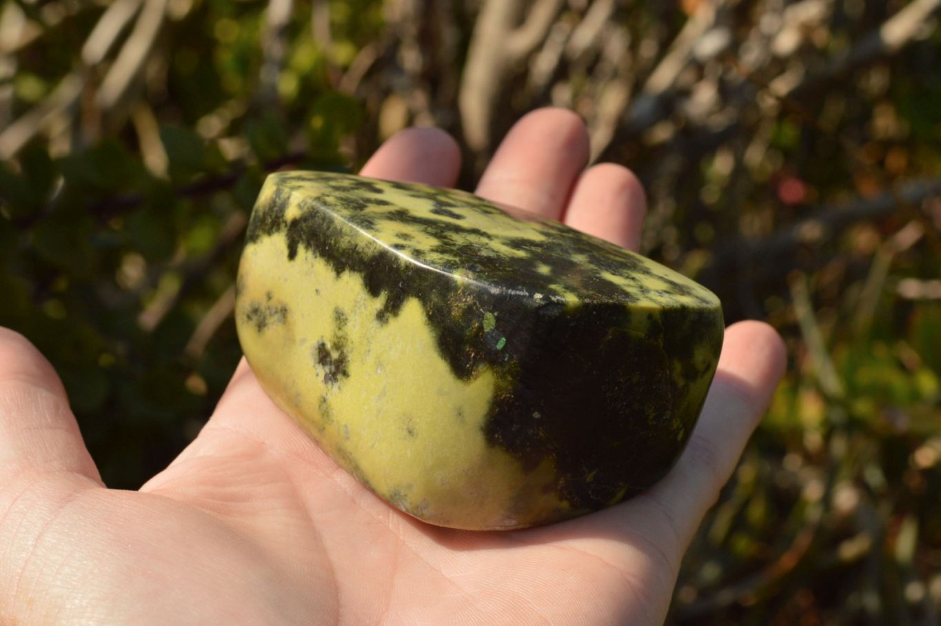 Polished Gorgeous Leopard Stone Free Forms  x 5 From Zimbabwe - TopRock