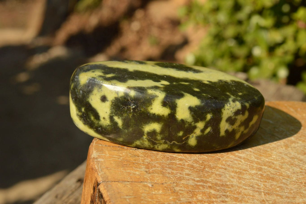 Leopard Spot Rocks Polished Leopard Stone Standing Free Forms x 5 From Nyanga, Zimbabwe ...