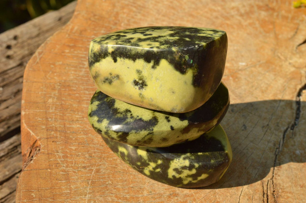 Leopard Spot Rocks Polished Leopard Stone Standing Free Forms x 5 From Nyanga, Zimbabwe ...