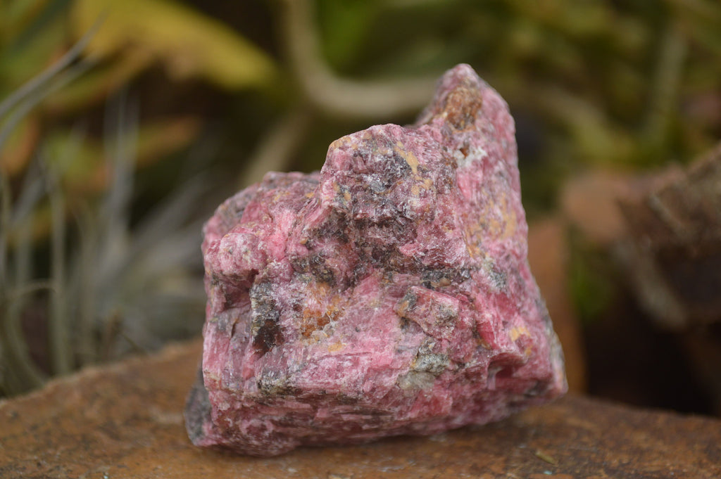 Natural Rough Red Rhodonite Cobbed Specimens  x 12 From Zimbabwe - TopRock