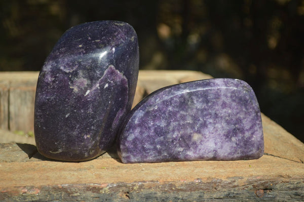 Polished Deep Purple Lepidolite Free Forms  x 2 From Ambatondrazaka, Madagascar