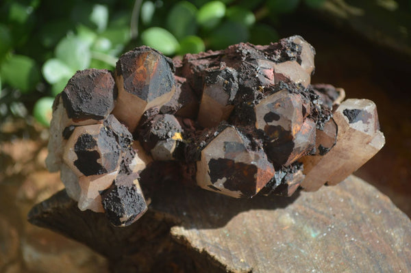 Natural Blacknite Quartz Clusters  x 2 From Madagascar - Toprock Gemstones and Minerals 