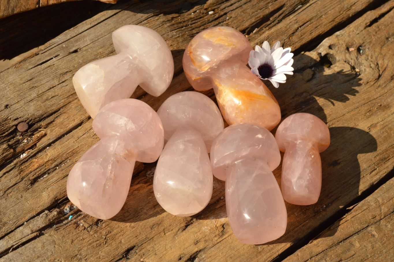 Polished Gemmy Pink Star Rose Quartz Mushrooms  x 6 From Ambatondrazaka, Madagascar - TopRock