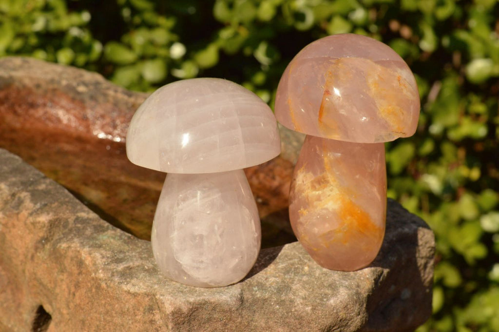 Polished Gemmy Pink Star Rose Quartz Mushrooms  x 6 From Ambatondrazaka, Madagascar - TopRock