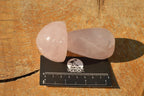Polished Gemmy Pink Star Rose Quartz Mushrooms  x 6 From Ambatondrazaka, Madagascar - TopRock