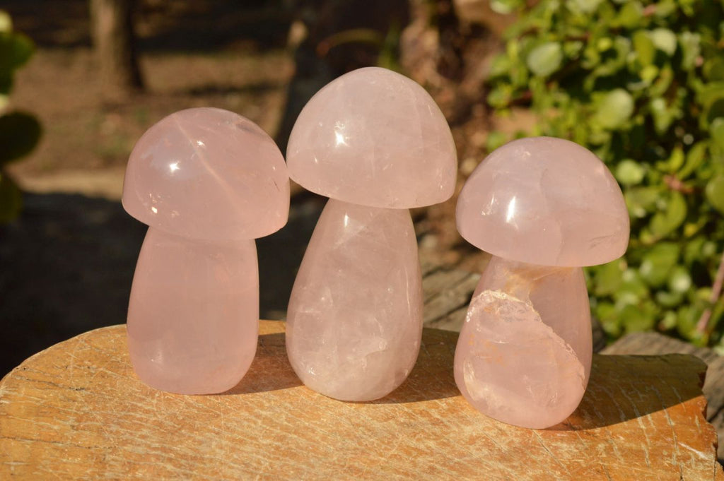Polished Gemmy Pink Star Rose Quartz Mushrooms  x 6 From Ambatondrazaka, Madagascar - TopRock