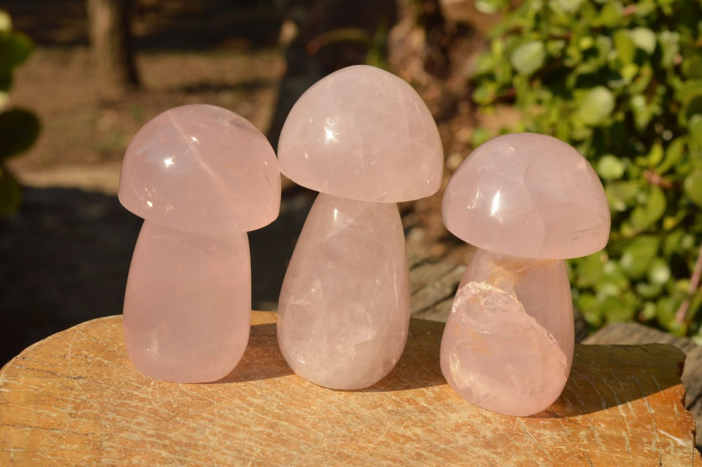 Polished Gemmy Pink Star Rose Quartz Mushrooms  x 6 From Ambatondrazaka, Madagascar - TopRock