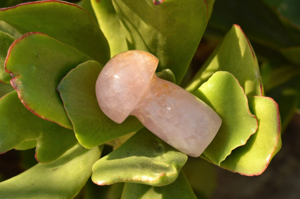 Polished Gemmy Pink Star Rose Quartz Mushrooms  x 6 From Ambatondrazaka, Madagascar - TopRock