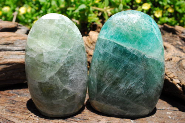 Polished Fluorite Standing Free Forms x 2 From Madagascar - TopRock