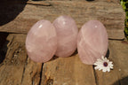Polished Pink Rose Quartz Standing Free Forms  x 3 From Ambatondrazaka, Madagascar - TopRock