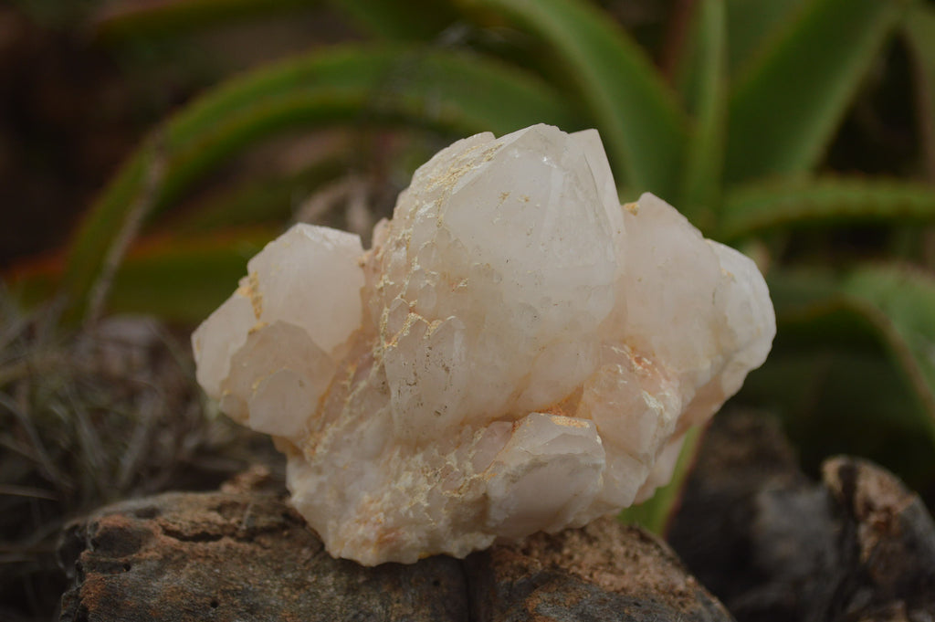 Natural Cascading Etched Window Quartz Clusters  x 6 From Madagascar - TopRock
