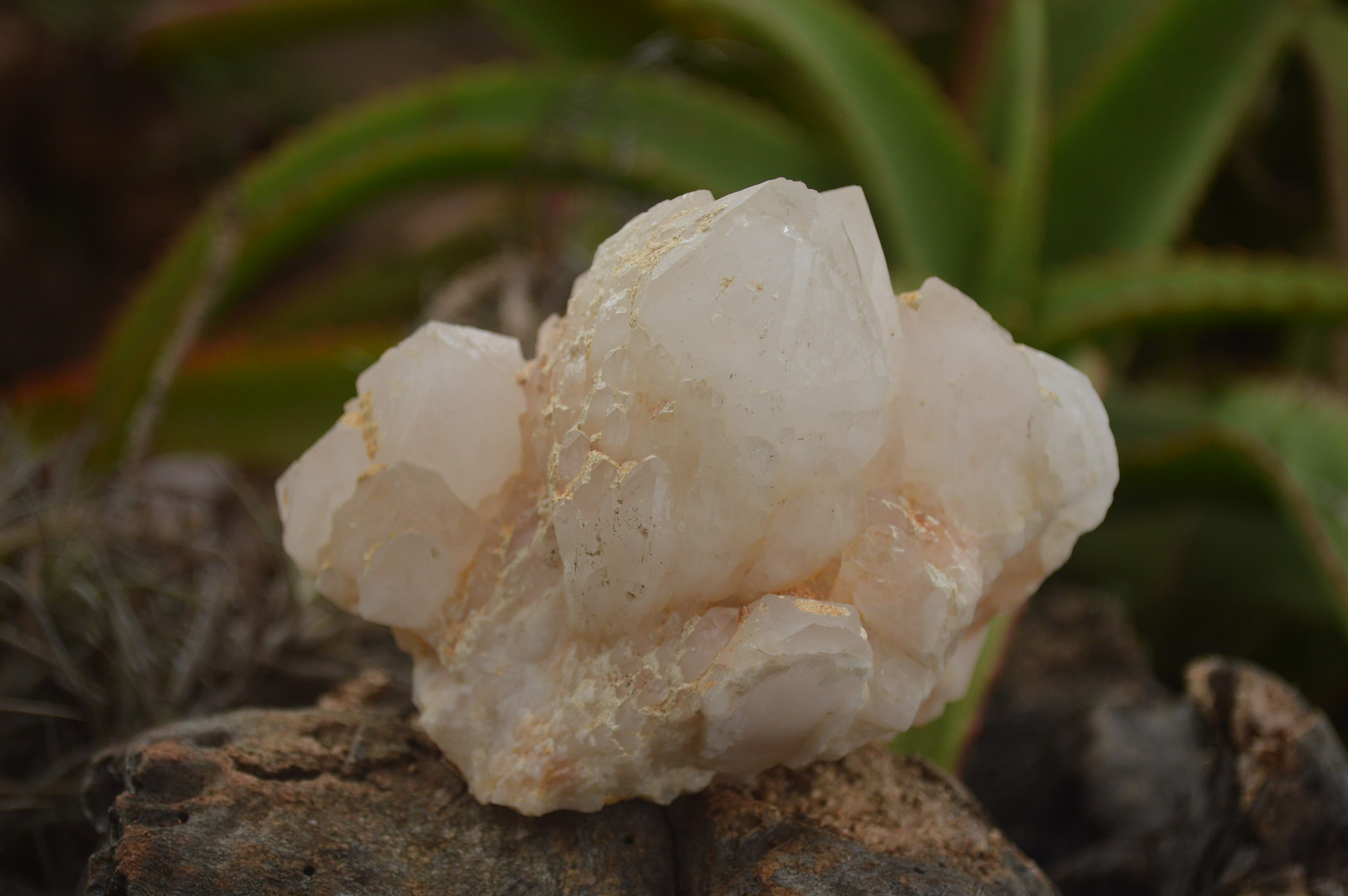 Natural Cascading Etched Window Quartz Clusters  x 6 From Madagascar - TopRock