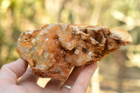 Natural Golden Limonite Quartz Clusters  x 6 From Mwinilunga, Zambia - TopRock