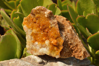 Natural Golden Limonite Quartz Clusters  x 6 From Mwinilunga, Zambia - TopRock