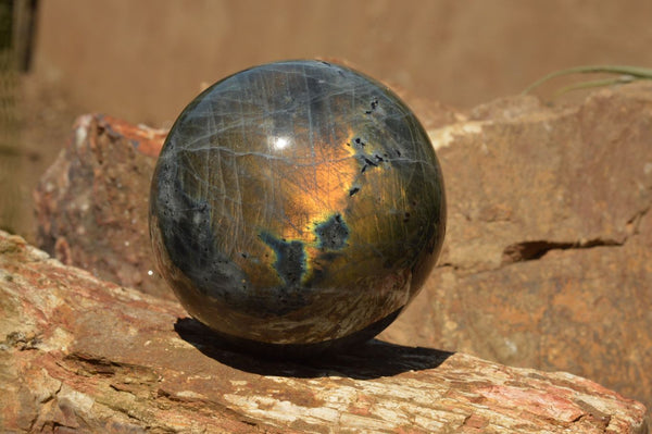 Polished Beautiful Labradorite Spheres With Gold Flash  x 3 From Tulear, Madagascar - TopRock