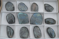 Polished Flashy Labradorite Standing Free Forms  x 12 From Tulear, Madagascar - TopRock