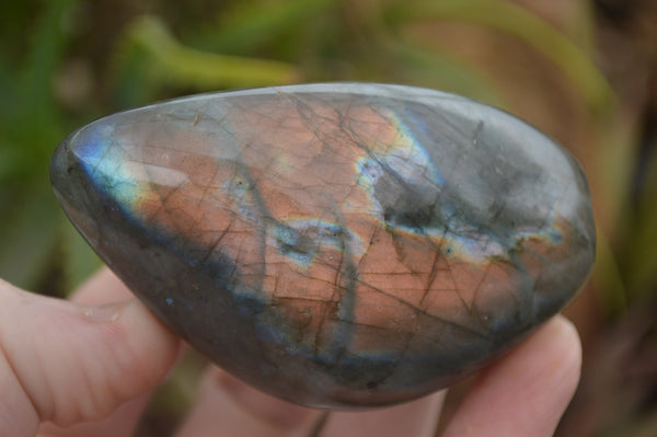 Polished Flashy Labradorite Standing Free Forms  x 12 From Tulear, Madagascar - TopRock