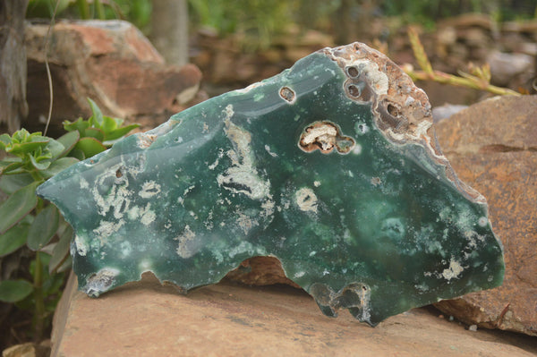 Polished Extra Large Green Mtorolite / Emerald Chrysoprase Plate  x 1 From Zimbabwe - TopRock