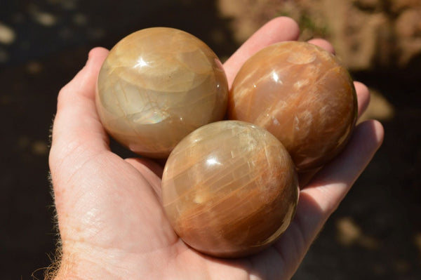 Polished Beautiful Chatoyant Peach / Salmon Moonstone Spheres  x 5 From Madagascar - TopRock
