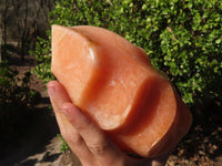 Polished Orange Twist Calcite Flame Sculpture  x 1 From Madagascar - Toprock Gemstones and Minerals 