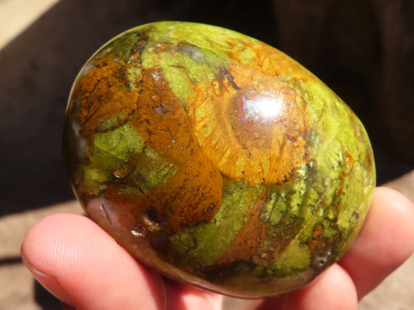 Polished Green Opal Palm Stones  x 12 From Antsirabe, Madagascar