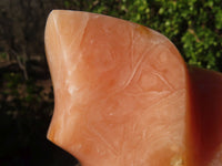 Polished Orange Twist Calcite Flame Sculpture  x 1 From Madagascar - Toprock Gemstones and Minerals 