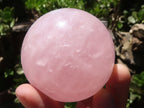 Polished Gemmy Pink Rose Quartz Spheres With Asterisms In Some  x 6 From Ambatondrazaka, Madagascar - TopRock