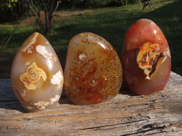 Polished Stunning Peachy Pink Coral Flower Agate Standing Free Forms  x 3 From Antsahalova, Madagascar - TopRock