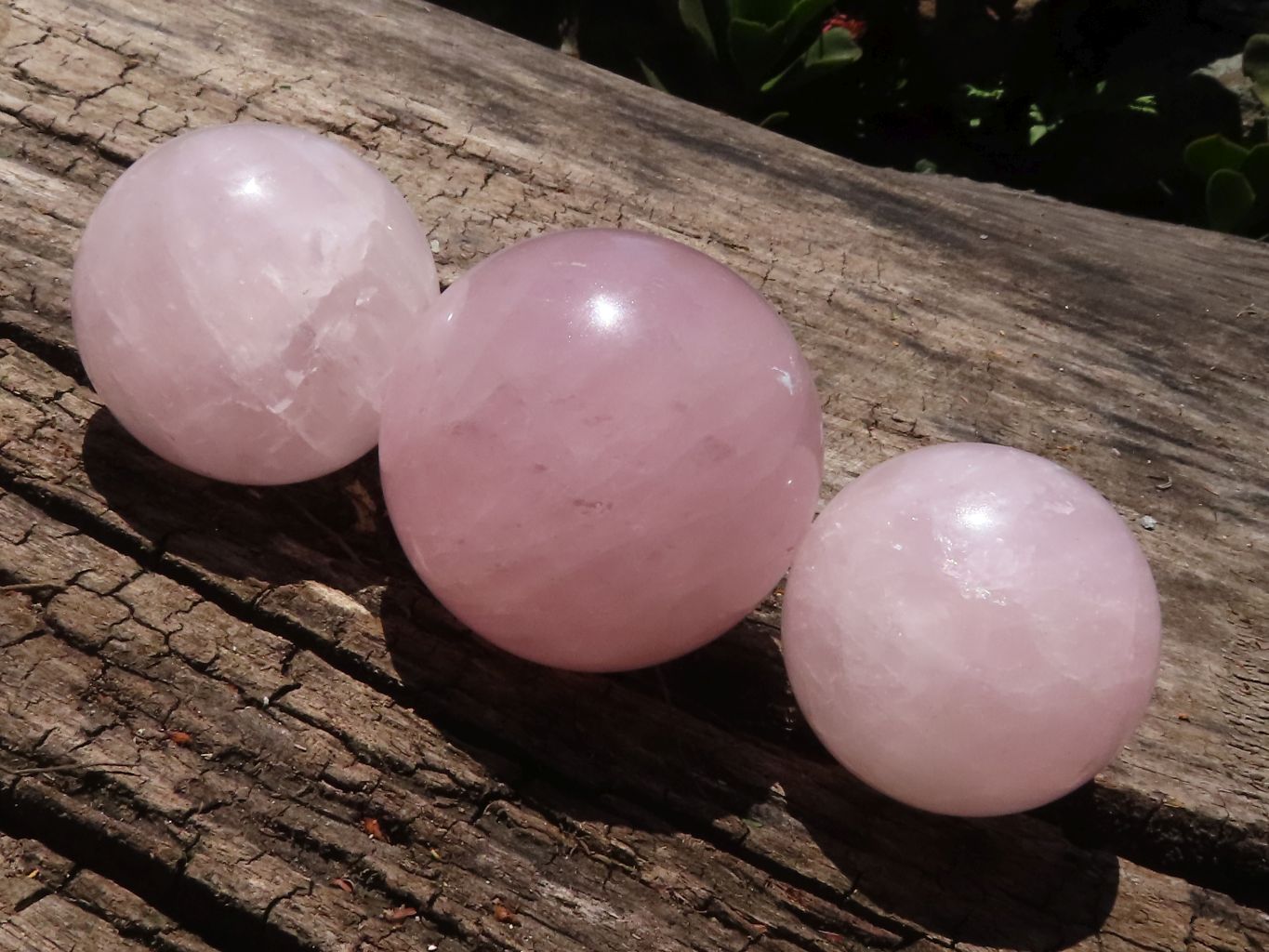 Polished Gemmy Pink Rose Quartz Spheres With Asterisms In Some  x 6 From Ambatondrazaka, Madagascar - TopRock
