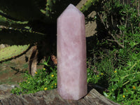 Polished Rose Quartz Crystal Points x 3 From Madagascar - TopRock